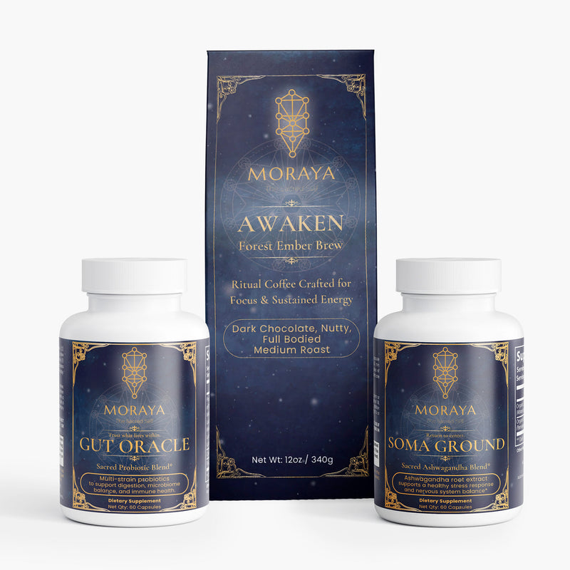 The Human Reset